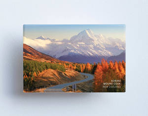 MTS1027 - Sisson Magnet - Mt Cook & Road