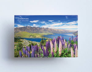Magnets Sisson: MTS1020 - Sisson Magnet - Lupins Queenstown