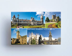 MTS1013 - Sisson Magnet - Dunedin Historic Buildings