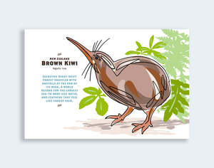 Wildlife Line Art: 837 - Post Art Postcard New Wildlife - Brown Kiwi