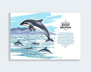 Wildlife Line Art: 834 - Post Art Postcard New Wildlife - Dusky Dolphin