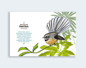 841 - Post Art Postcard New Wildlife - Fantail