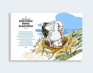 840 - Post Art Postcard New Wildlife - Northern Royal Albatross on nest