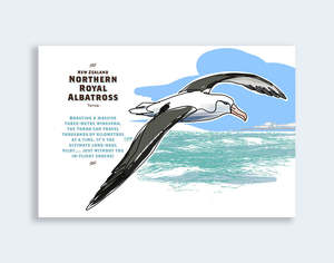 Wildlife Line Art: 839 - Post Art Postcard New Wildlife - Northern Royal Albatross