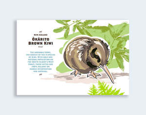 838 - Post Art Postcard New Wildlife - Okarito Brown Kiwi Chick