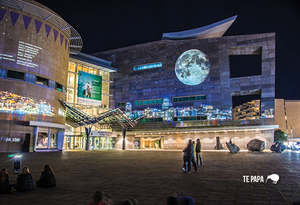 SWG1131 - Te Papa Tongarewa - The Museum of New Zealand