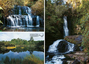 LOT203 - Catlins Multi - Large Postcard