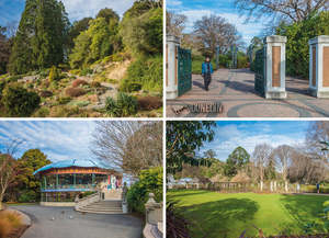 New Updated: LDN198 - Botanic Gardens, Dunedin - Large Postcard