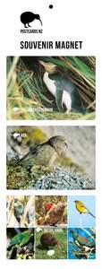 Wildlife: MGI5941 - Native Birds Magnet Set 2