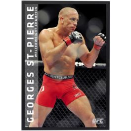 General: Ufc - Georges St-pierre
