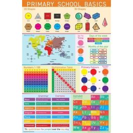 General: Primary School Basics