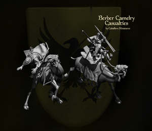 Berber Camel Casualties