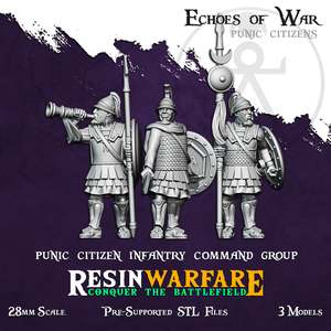 Punic Citizen Commanders