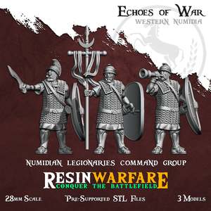 Numidian Heavy Infantry Command