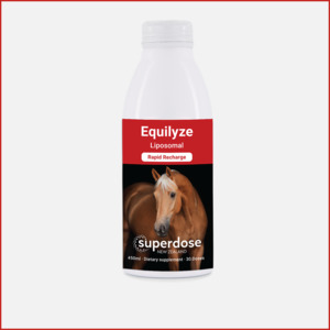 All: Equilyze