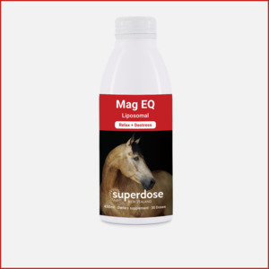 All: Mag EQ