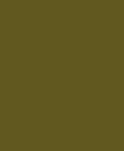 Products: Moss Green - Botpots