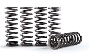 Hinson Clutch Springs Kit