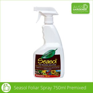 Plant Food: Seasol Foliar Spray 750ml RTU