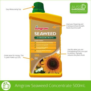 Plant Food: Amgrow Seaweed Amgrow Concentrate