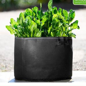 Aussie Gardener Black GeoFelt Veggie Growing Planter with Handles 550mmx400mm