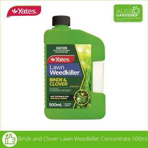 Weed Killer: Bindii And Clover Lawn Weedkiller Concentrate 500ml