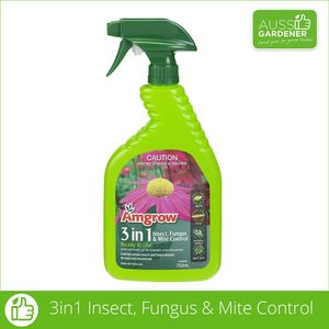 Amgrow: Amgrow 3 IN 1 Insect Fungus & Mite Control Premixed 750ml