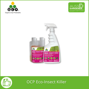Our Range: OCP Eco-Insect Killer – Soap-Based Pest Control for Aphids, Mites & More | 750mL & 250mL Options