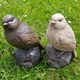 Concrete Bird - Precast Concrete