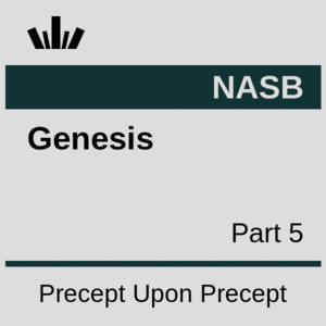Precept NZ