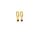 Evolve | January | Huggies | Gold | Garnet Earrings