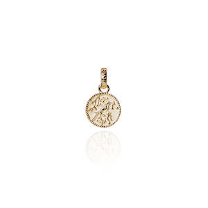 Evolve: Evolve | Tui Coin | Pendant Charm | Gold