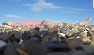 Retreat: Yoga Nidra - Your Authentic Self - A must not miss Yoga Nidra