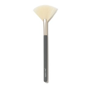 Products: Fan Brush