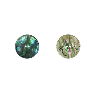 Souvenir Collection: Paua Shell Buttons