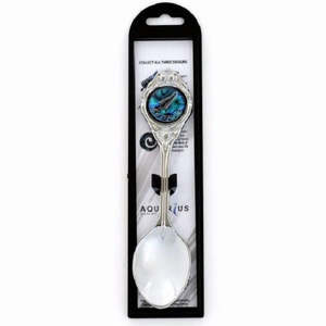 Paua Teaspoons