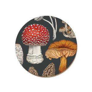 New Collection: NZ Fungi Morchella - Coaster - Wolfkamp & Stone