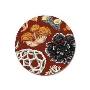 New Collection: NZ Fungi Phellodon - Coaster - Wolfkamp & Stone