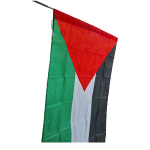 Palestine Flag