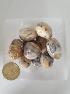 Tumbles: Crazylace Agate Tumble - Random Grab Single Tumble