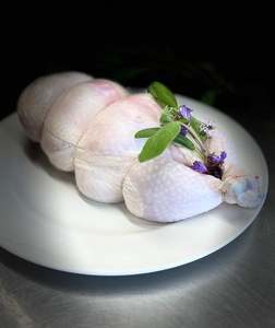 Poultry: Organic Chicken Ballotine
