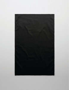 Accessories: 1511 Ascolour Tea Towel