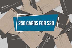 Business Card Special: BUSINESS CARD SPECIAL - 250 SINGLE SIDED CARDS