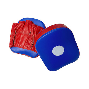 Training Equipment: Speed/Coach Mitts