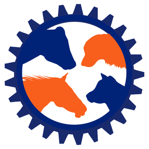 Healthy Horse Digestive Probiotic NZ Probiotic Revolution