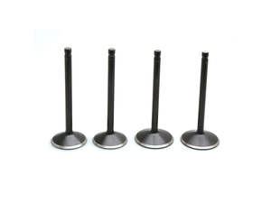 Cylinder Heads Parts Evo: Valve Kit. Fits Evolution Big Twin 1984-1999 - Kibblewhite