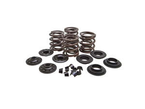 Cylinder Heads Parts Vintage: Valve Spring Kit. Fits Big Twin 1966-1977. .600in. Lift - Kibblewhite