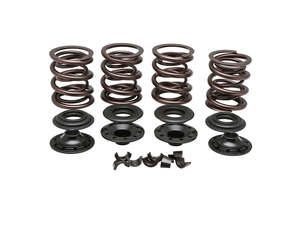 Valve Spring Kit. Fits Big Twin 1978-1984. .600in. Lift - Kibblewhite