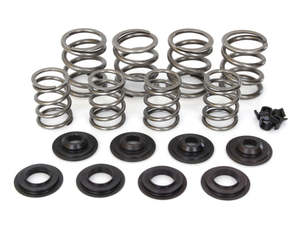 Valve Spring Kit. Fits Big Twin 1948-1984. .530in. Lift - AV&V