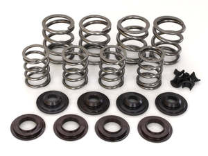 Valve Spring Kit. Fits Big Twin 1948-1984. .590in. Lift - AV&V